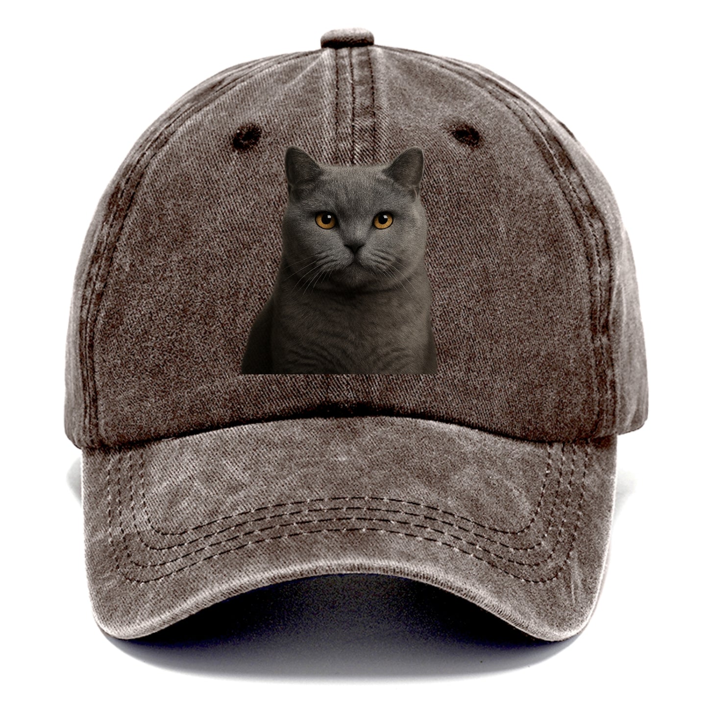 british shorthair dignified charm Hat