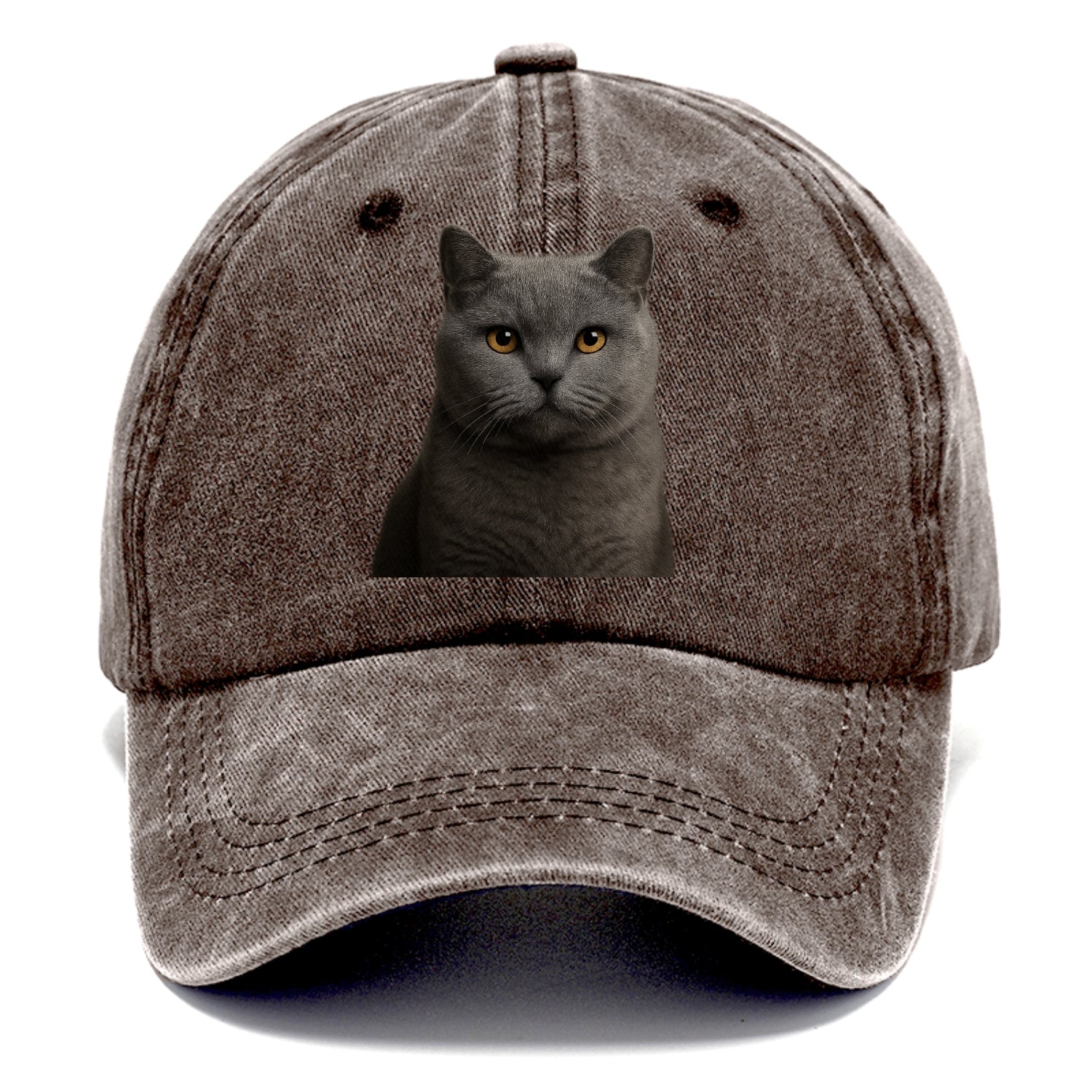 british shorthair dignified charm Hat