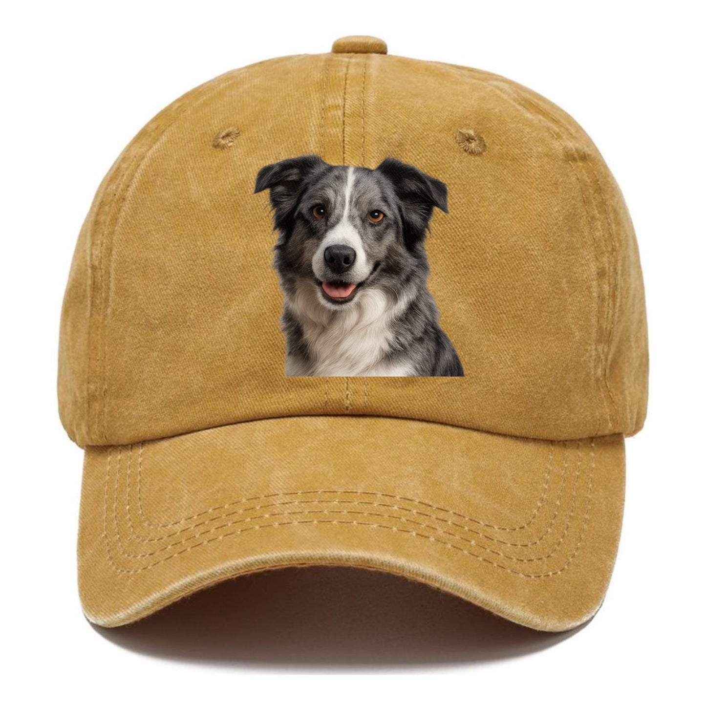 blue merle border collie agile mind Hat