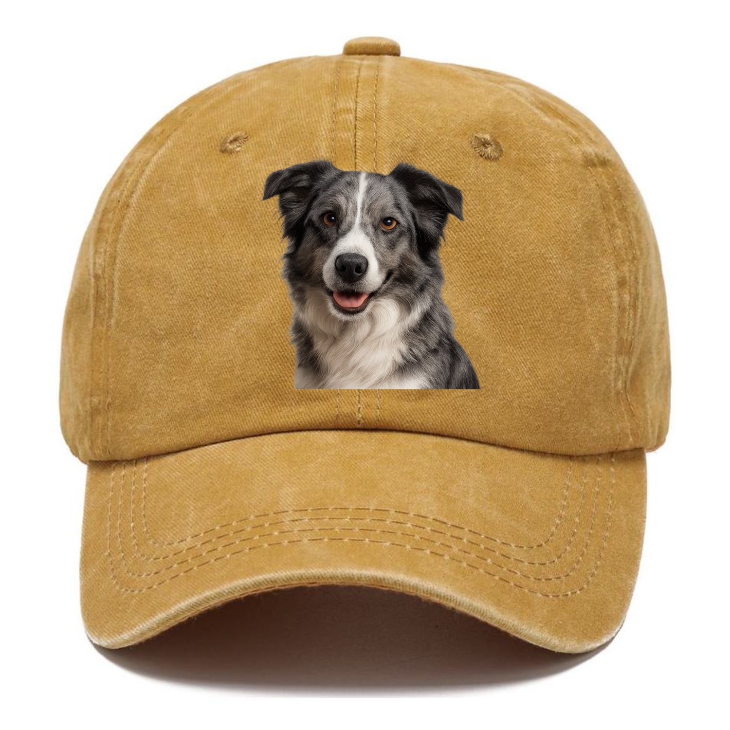 blue merle border collie agile mind Hat