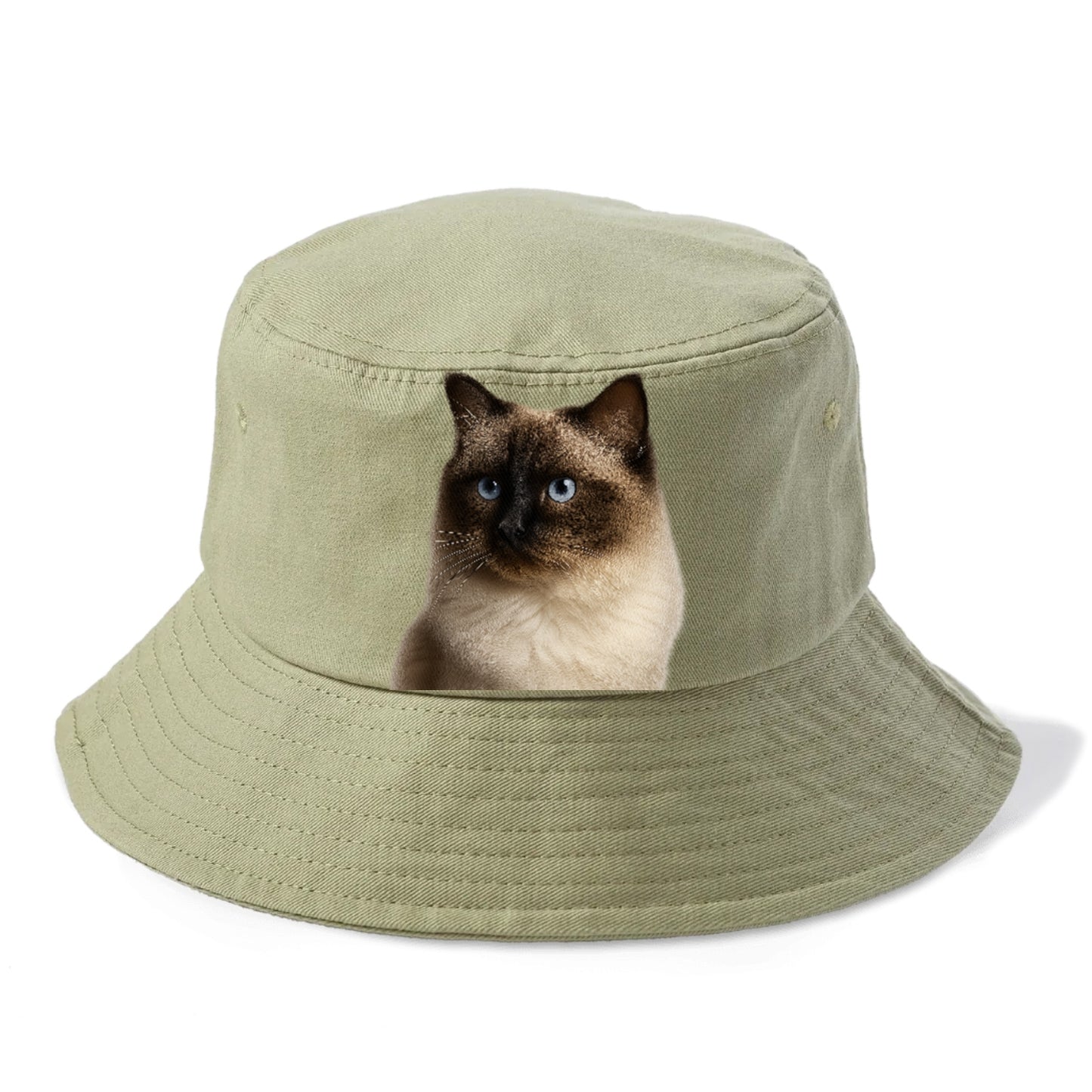 ragdoll-gentle-demeanor Hat