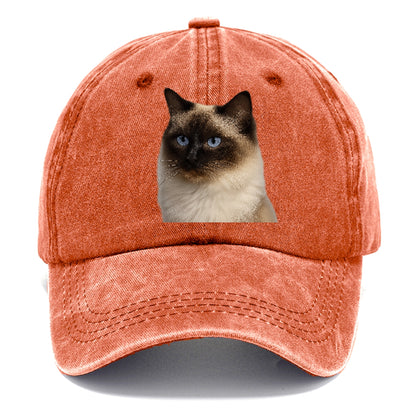 ragdoll-gentle-charm Hat