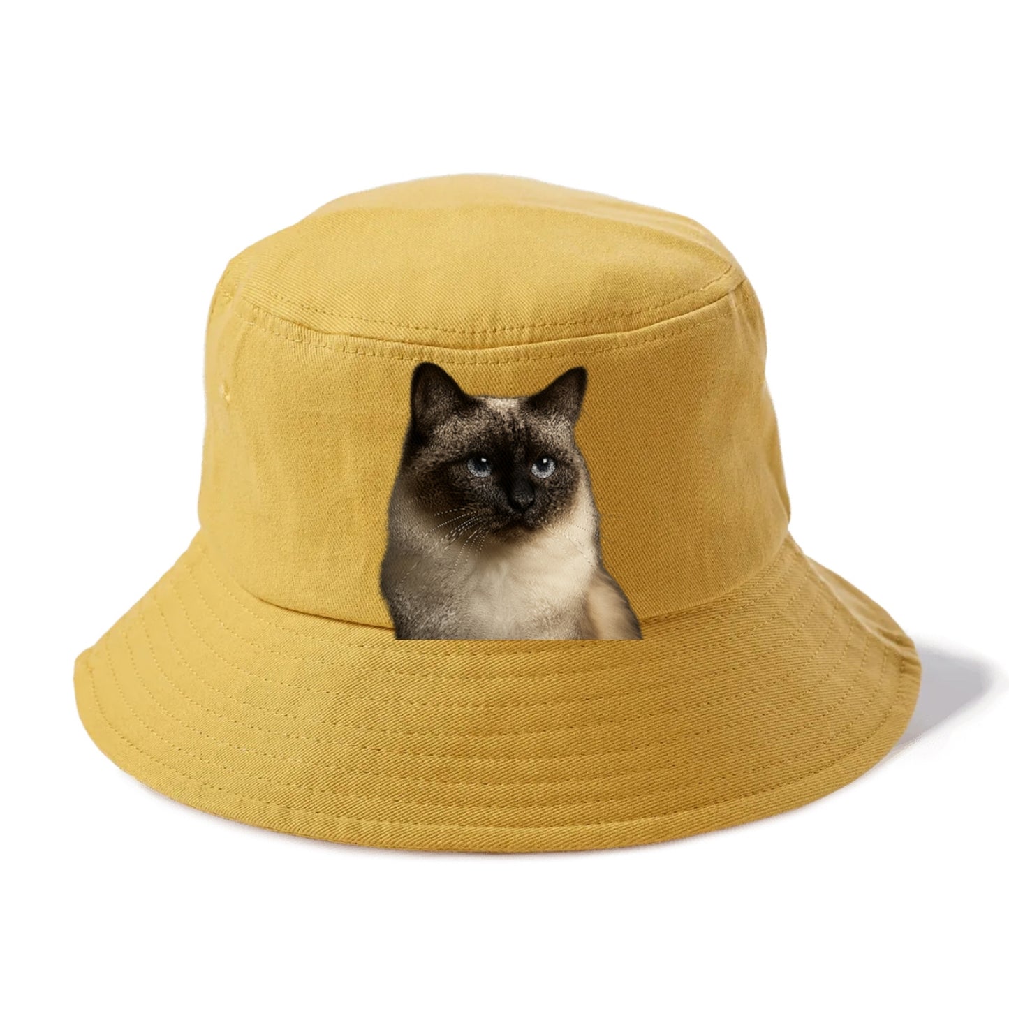 birman-cat-serene-elegance Hat