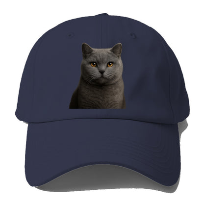 british shorthair dignified charm Hat