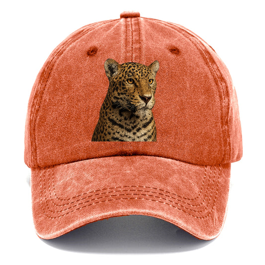 jaguar-stealthy-grace Hat