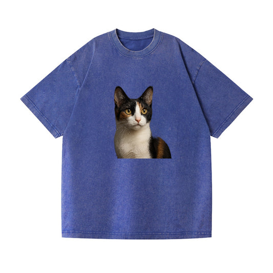 japanese-bobtail-playful-charm Hat