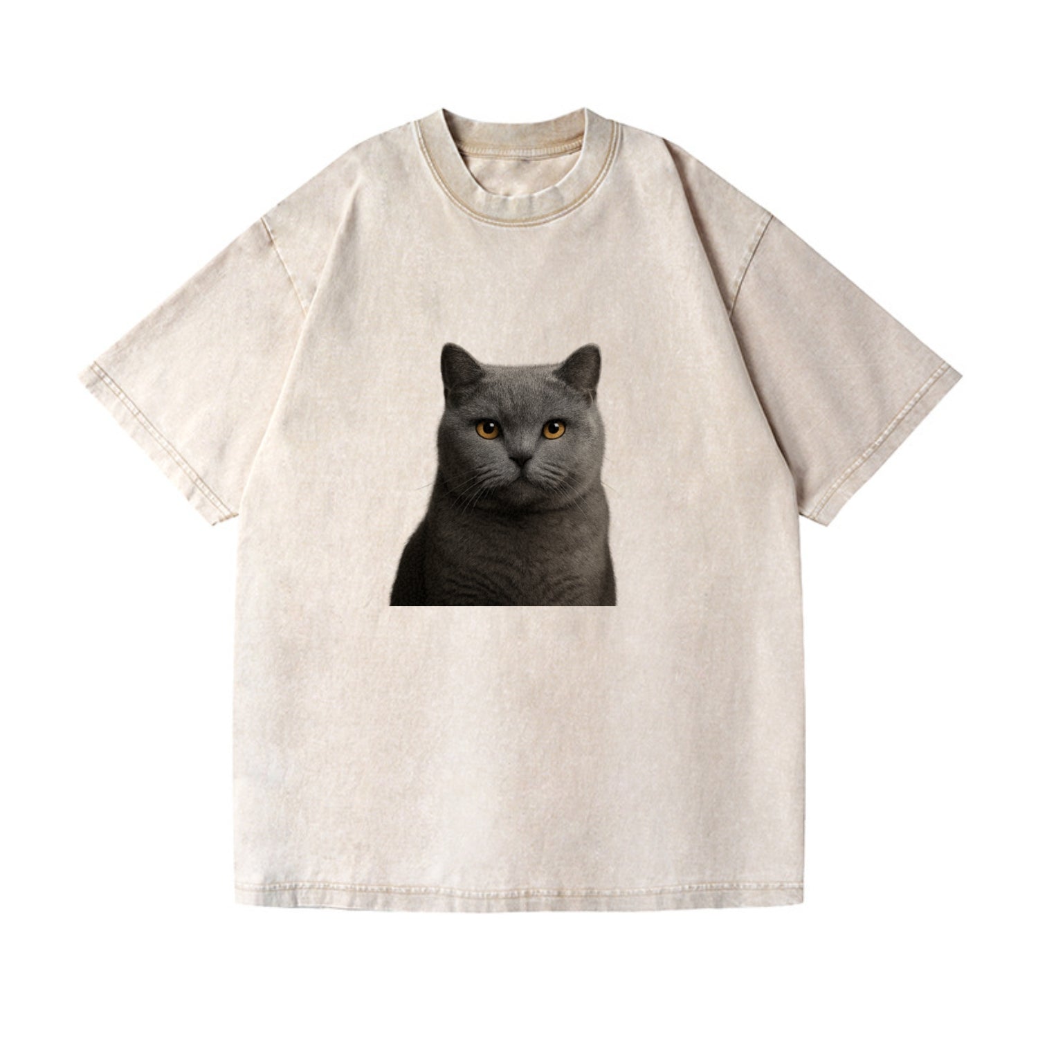 british shorthair dignified charm Hat