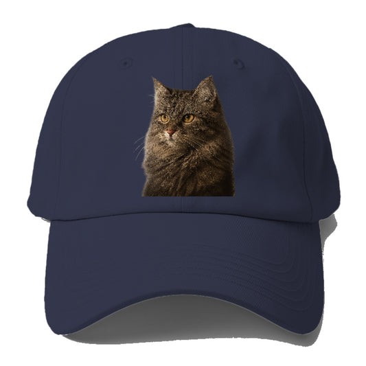 domestic-longhair-graceful-charm Hat