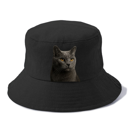chartreux-quiet-grace Hat
