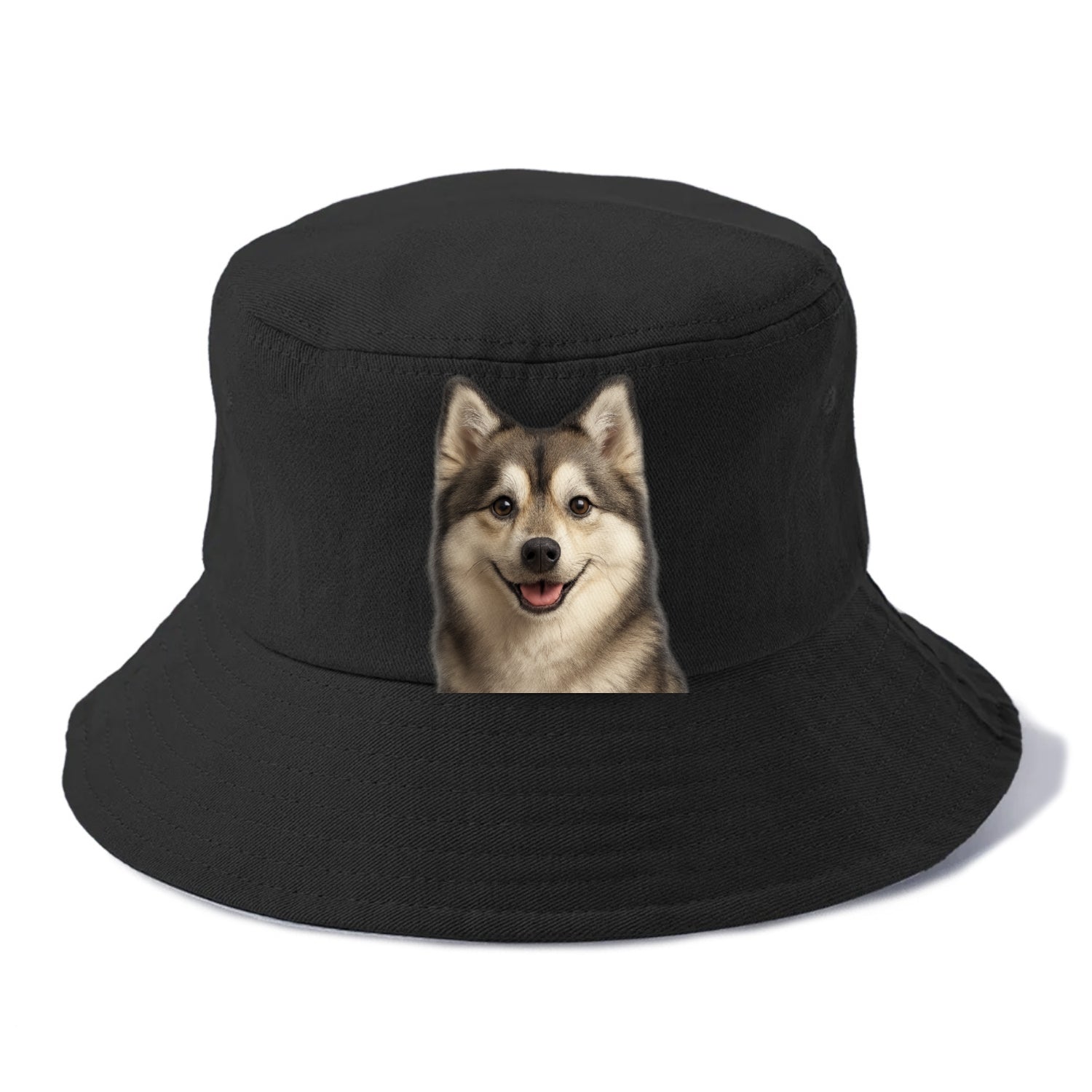 pomsky portrait design Hat