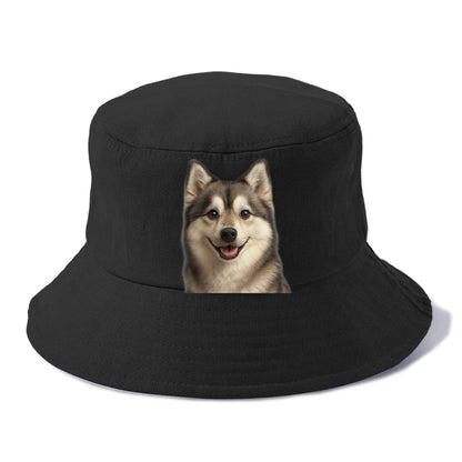 pomsky portrait design Hat