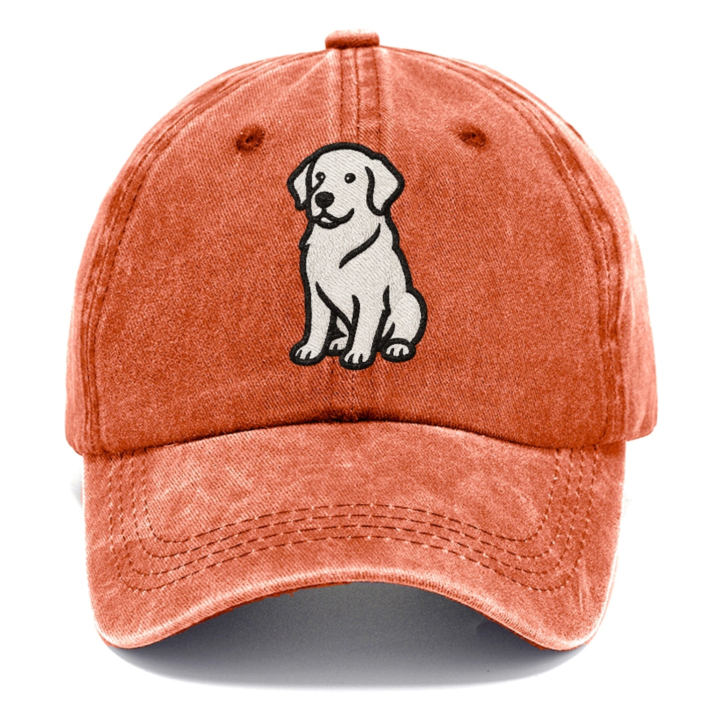 golden-retriever-curious-charm Hat