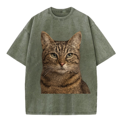 content-cat-curious-charm Hat