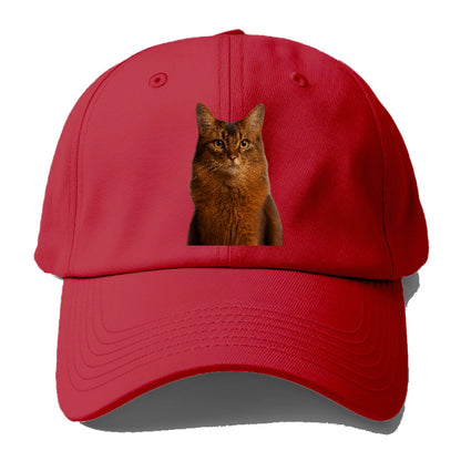 somali-cat-agile-grace Hat
