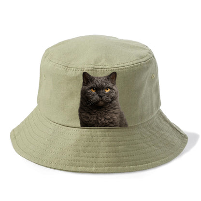 selkirk-rex-curly-charm Hat