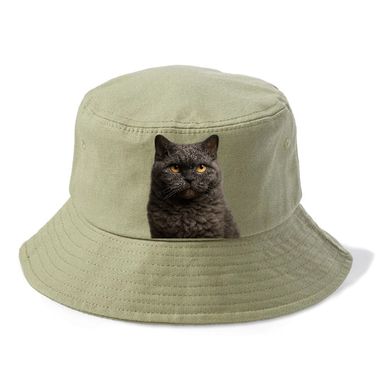 selkirk-rex-curly-charm Hat