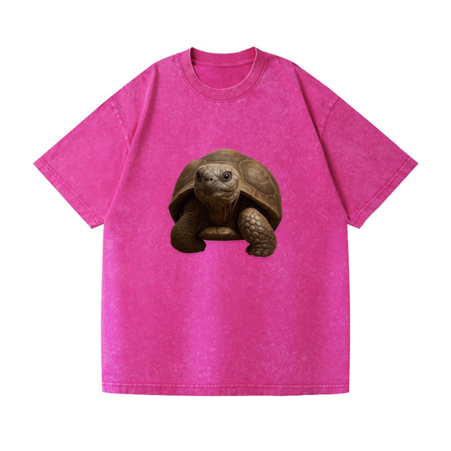 tortoise portrait design Hat