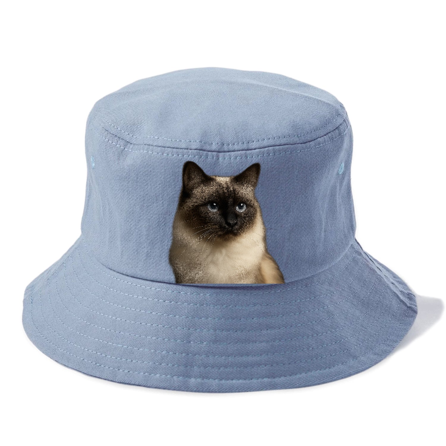 birman-cat-serene-elegance Hat