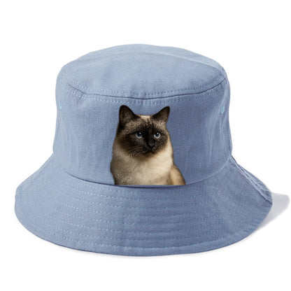 birman-cat-serene-elegance Hat