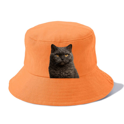 selkirk-rex-curly-charm Hat