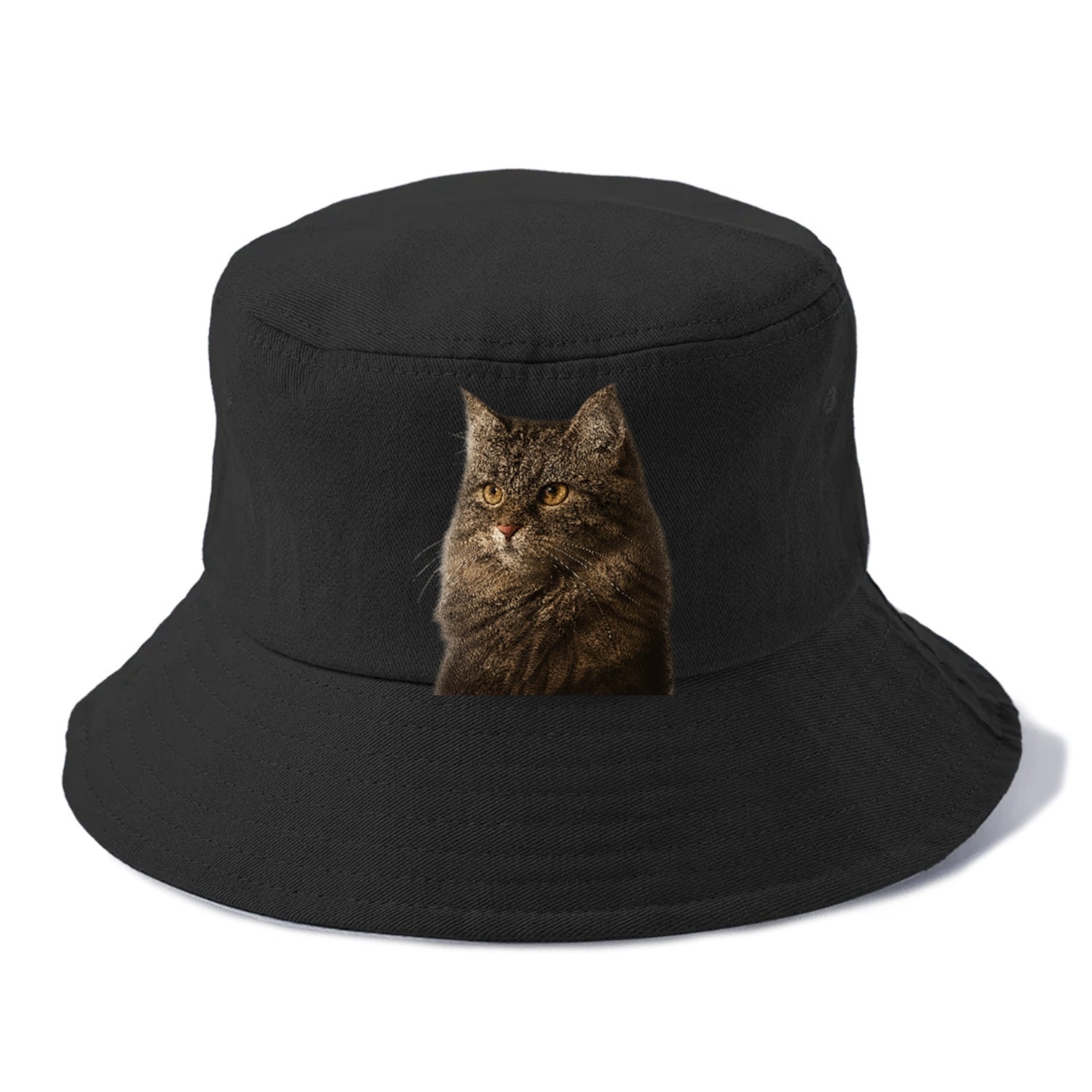 domestic-longhair-graceful-charm Hat