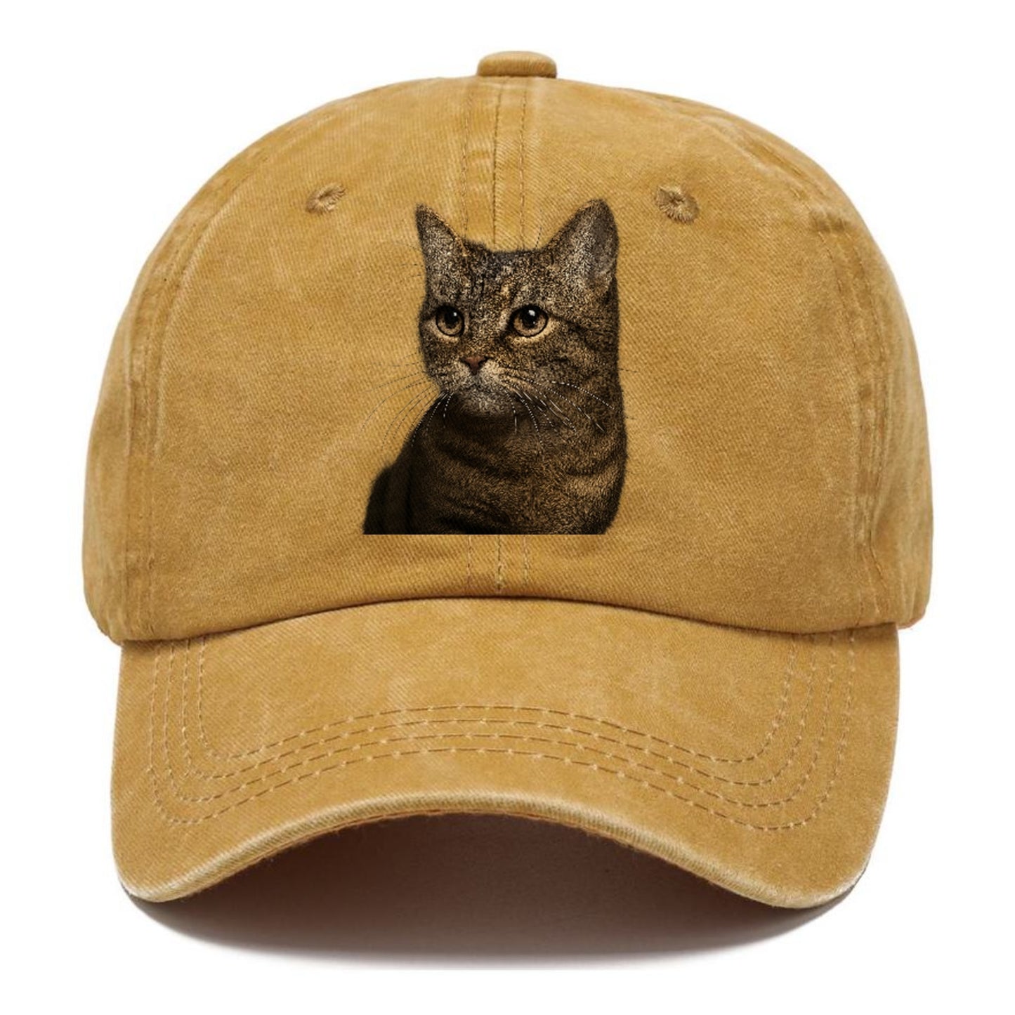 munchkin-cat-charming-spirit Hat