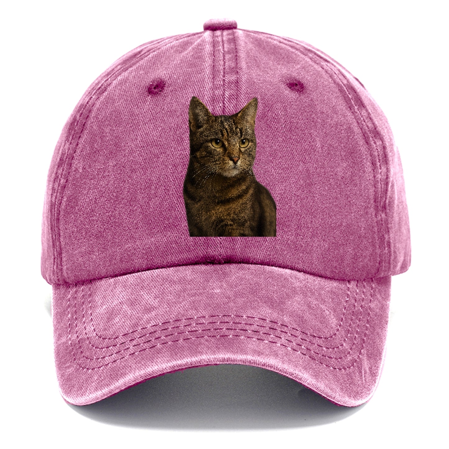 barn-cat-rustic-charm Hat