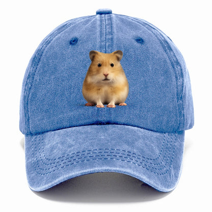cute realistic hamster illustration portrait Hat