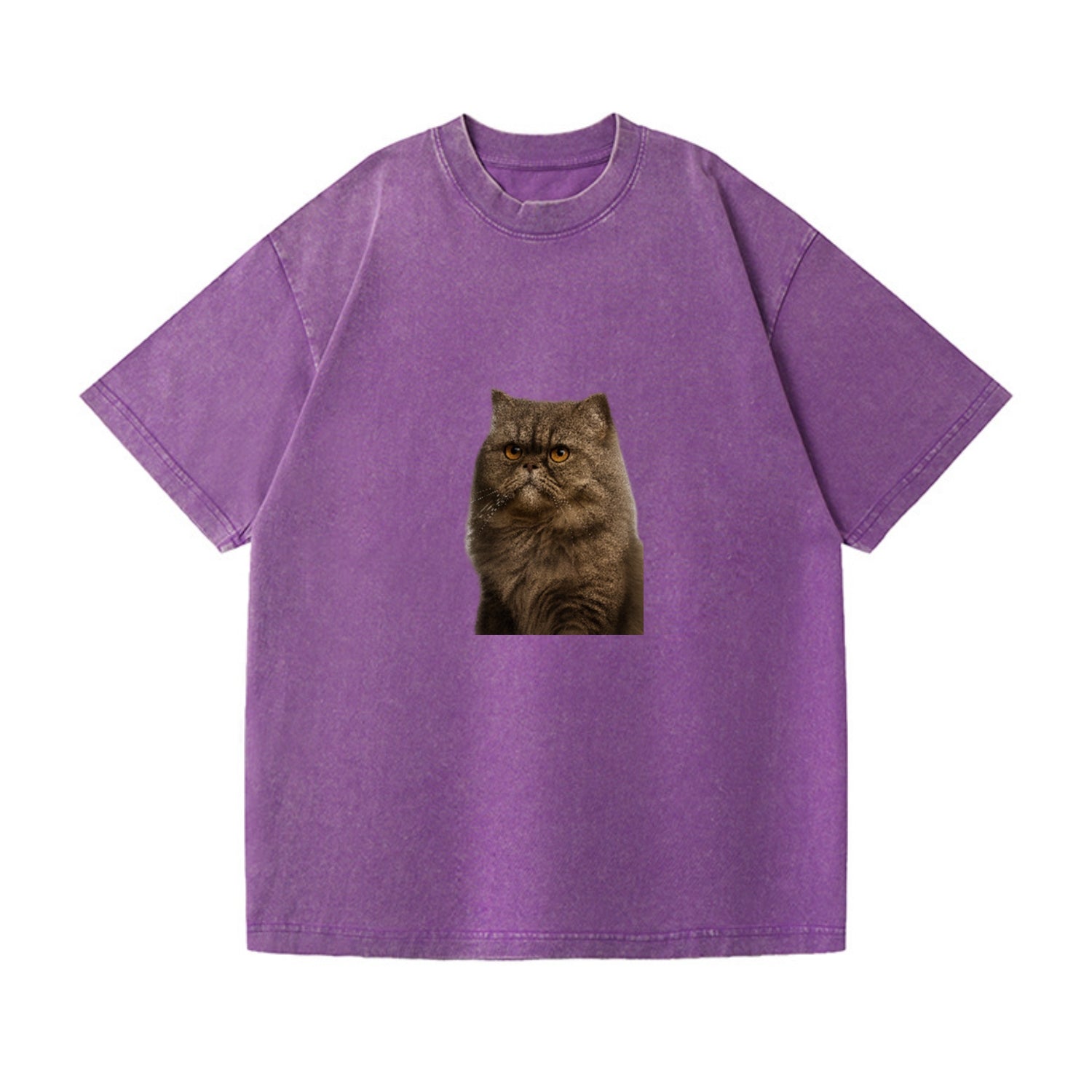 persian-cat-regal-elegance Hat