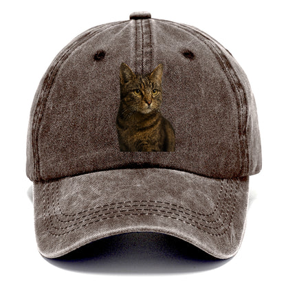 barn-cat-rustic-charm Hat