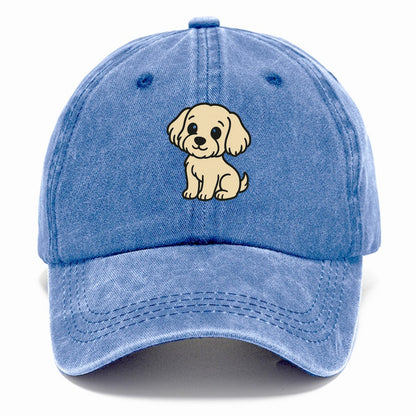 havanese cream colored sitting pose portrait design Hat