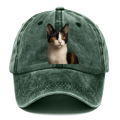 japanese-bobtail-playful-charm Hat