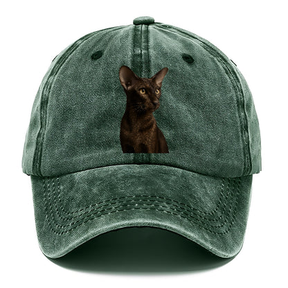 oriental-shorthair-sleek-chic Hat