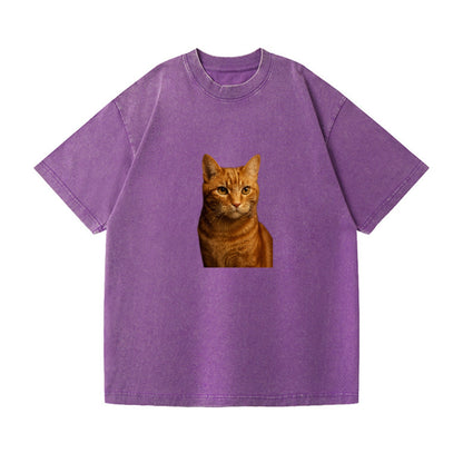 orange-tabby-playful-purr Hat