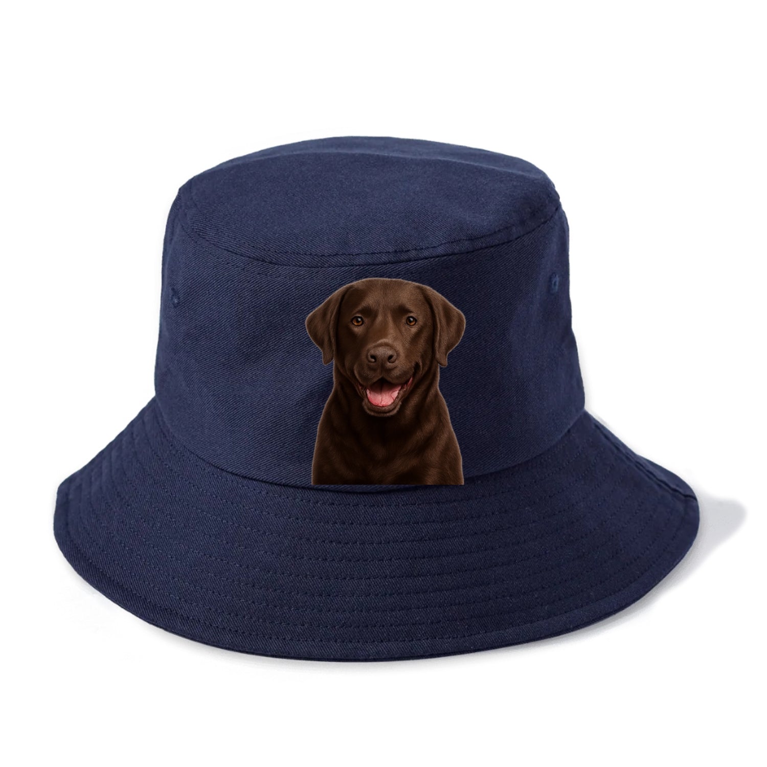 labrador friendly family Hat