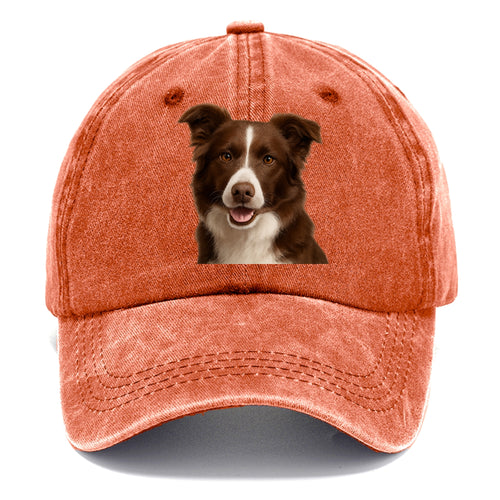 Chocolate Border Collie: Sweet & Smart Devotion Classic Cap