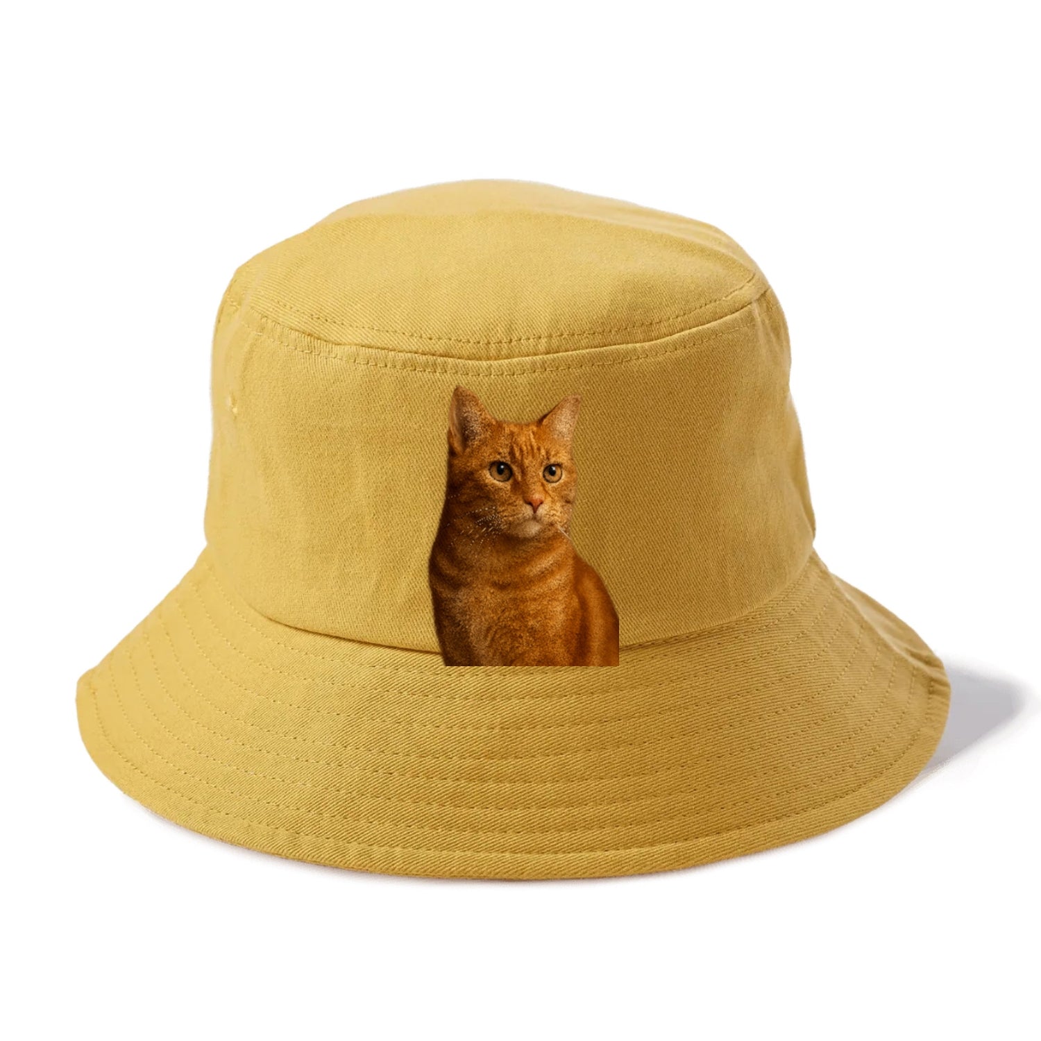 ginger-cat-warmth Hat