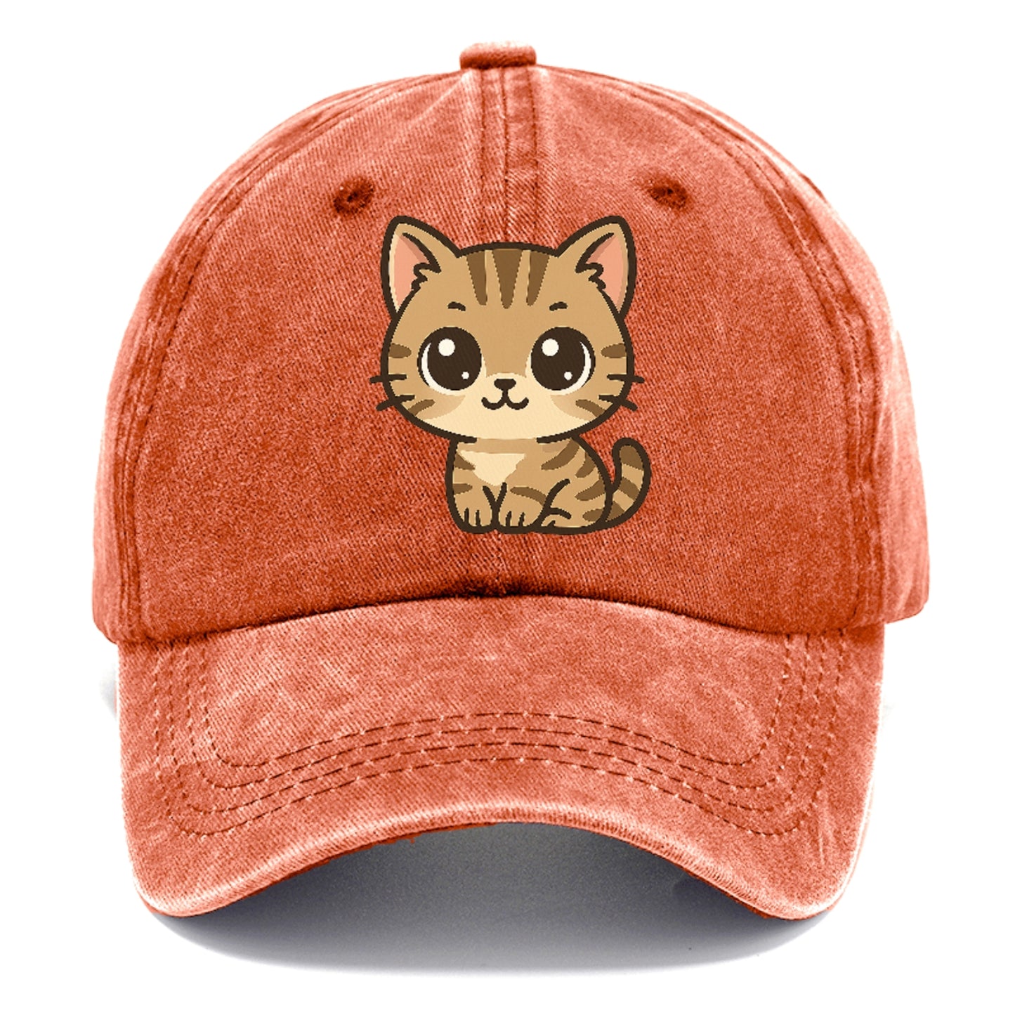 tabby-mix-playful-spirit Hat