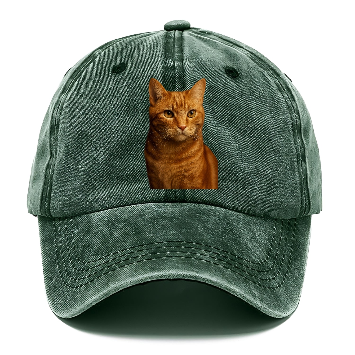 orange-tabby-playful-purr Hat