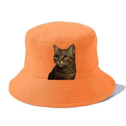 munchkin-cat-charming-spirit Hat