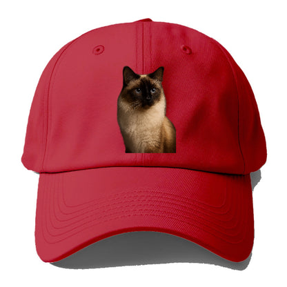 birman-gentle-charm Hat