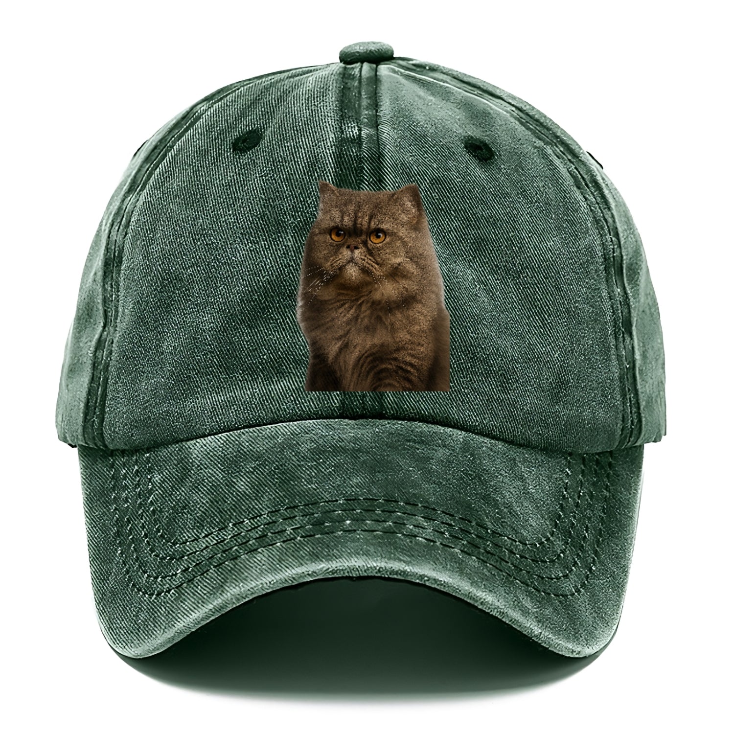 persian-cat-regal-elegance Hat