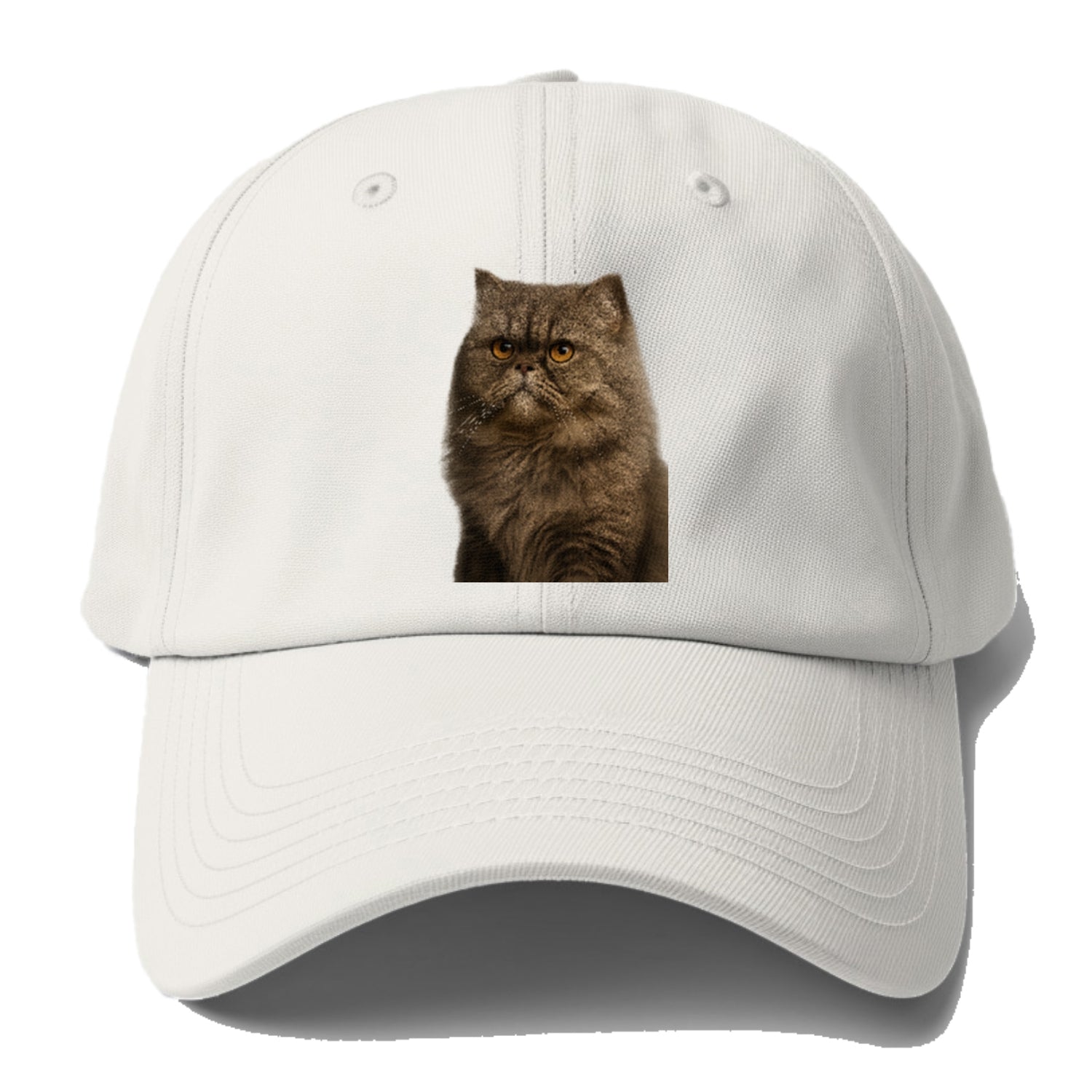 persian-cat-regal-elegance Hat