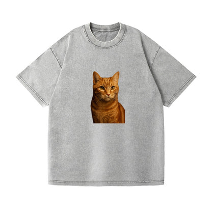 orange-tabby-playful-purr Hat