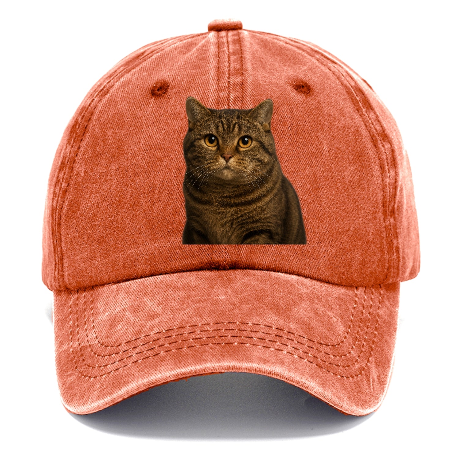 manx-cat-distinct-charm Hat