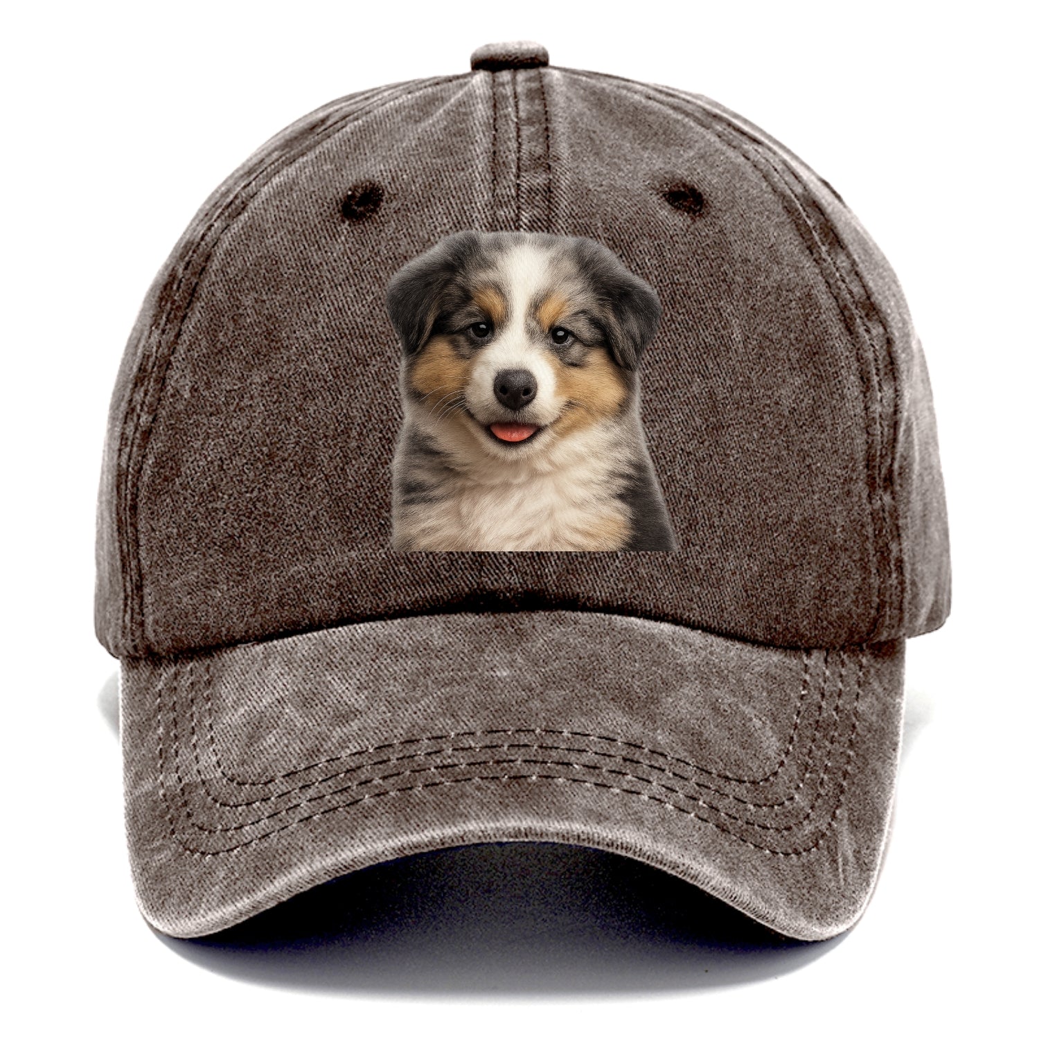 australian shepherd puppy portrait design Hat