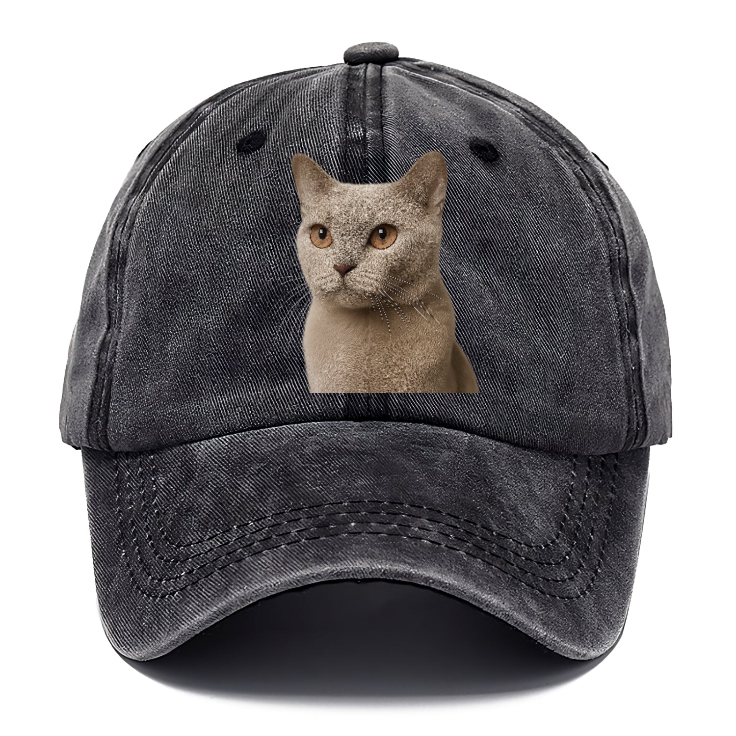 lilac-cat-playful-spirit Hat