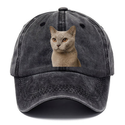 lilac-cat-playful-spirit Hat