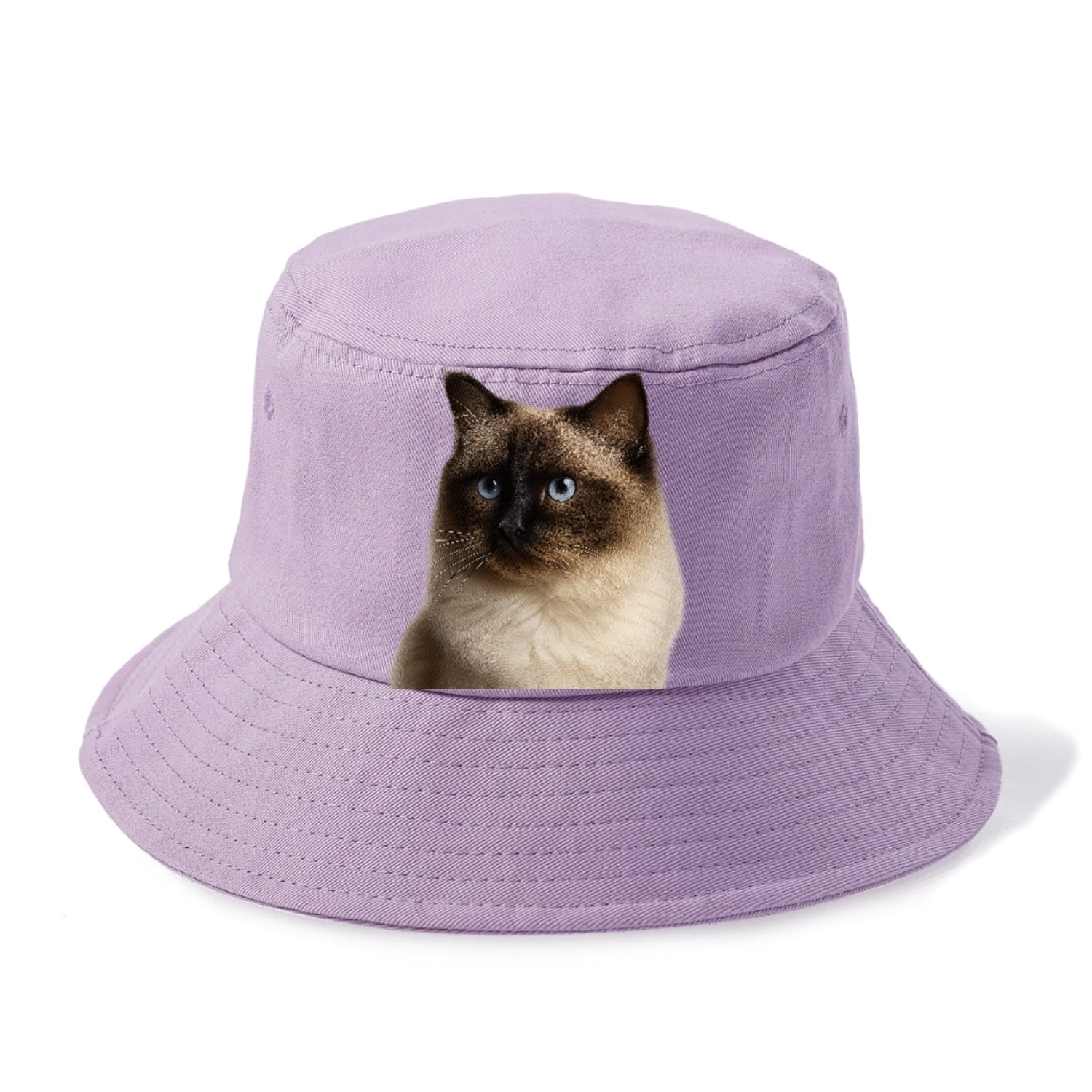 ragdoll-gentle-demeanor Hat