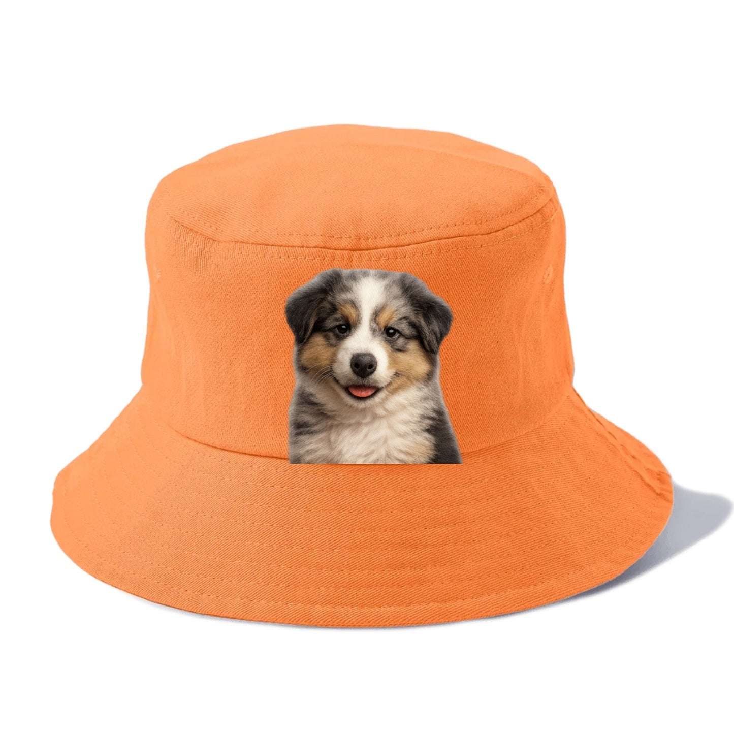 australian shepherd puppy portrait design Hat